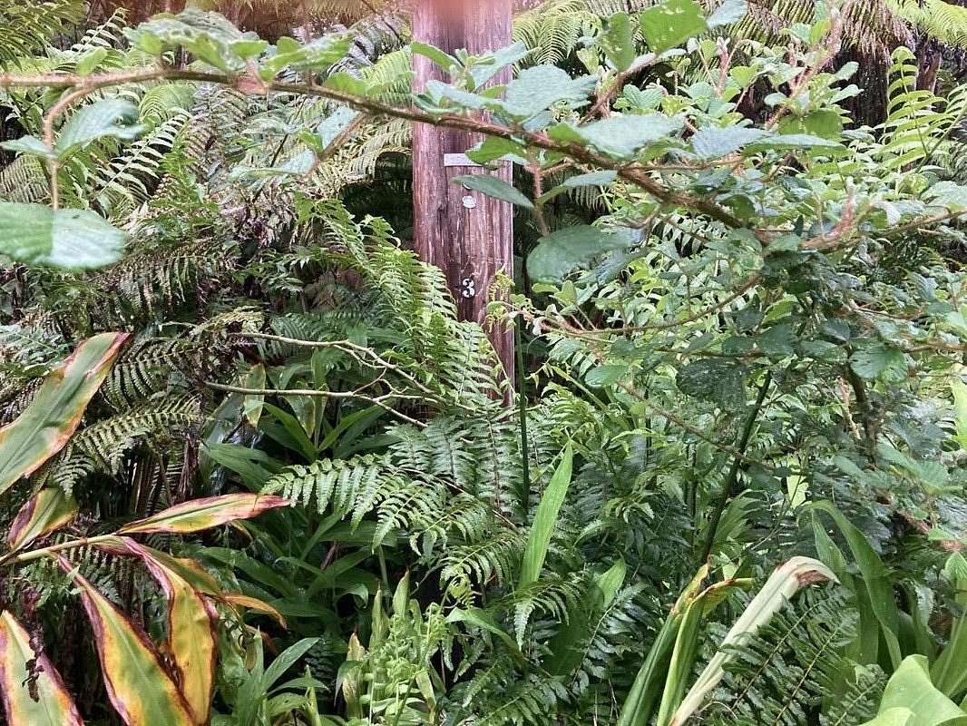 0.28 Acres of Land for Sale in Volcano, Hawaii