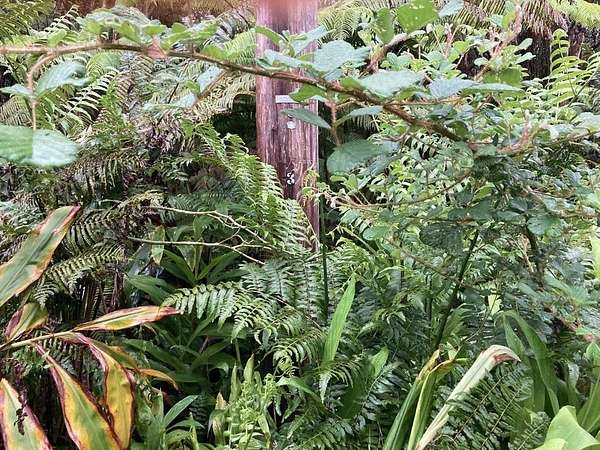 0.28 Acres of Land for Sale in Volcano, Hawaii