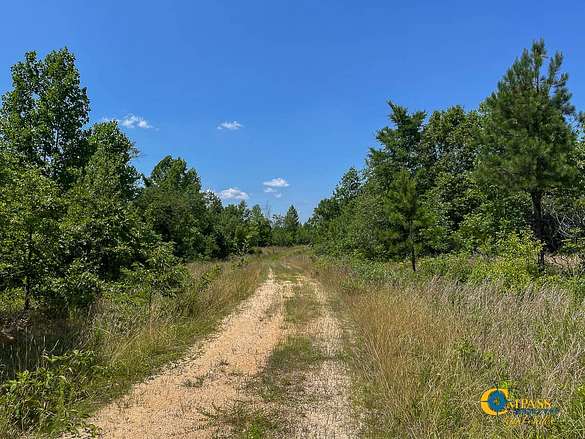 225 Acres of Land for Sale in Tennessee Ridge, Tennessee