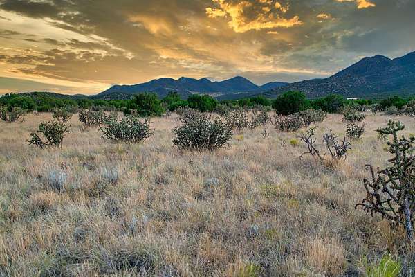 64.6 Acres of Land for Sale in Cerrillos, New Mexico