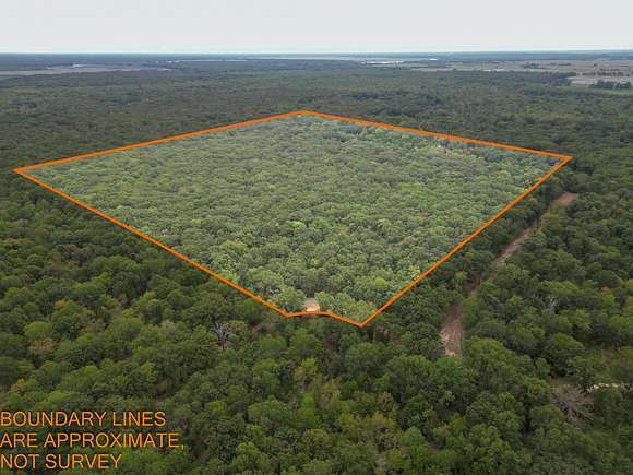 35.9 Acres of Recreational Land & Farm for Sale in Bogata, Texas