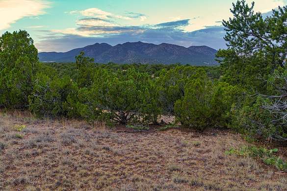 40 Acres of Land for Sale in Cerrillos, New Mexico
