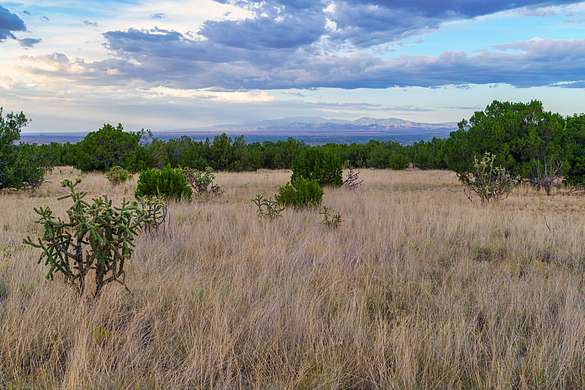 40 Acres of Agricultural Land for Sale in Cerrillos, New Mexico