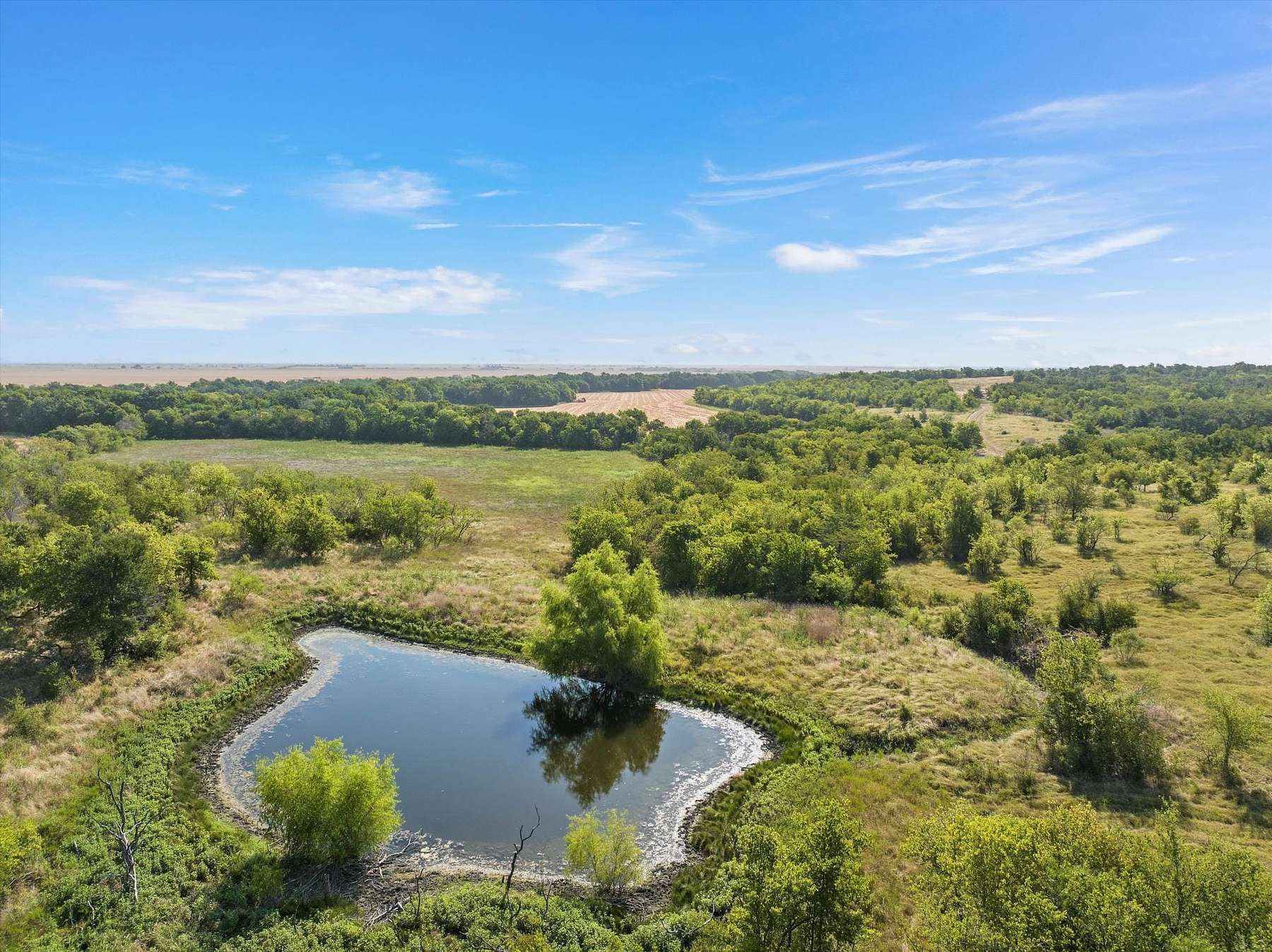 100 Acres of Agricultural Land for Sale in Rosebud, Texas