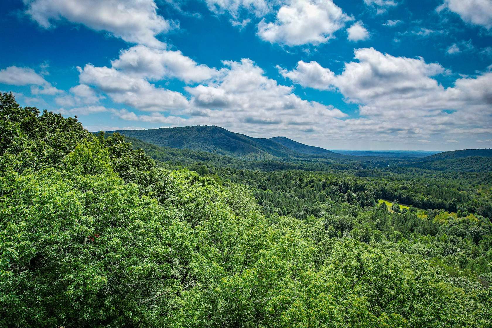 3.61 Acres of Land for Auction in Valdese, North Carolina