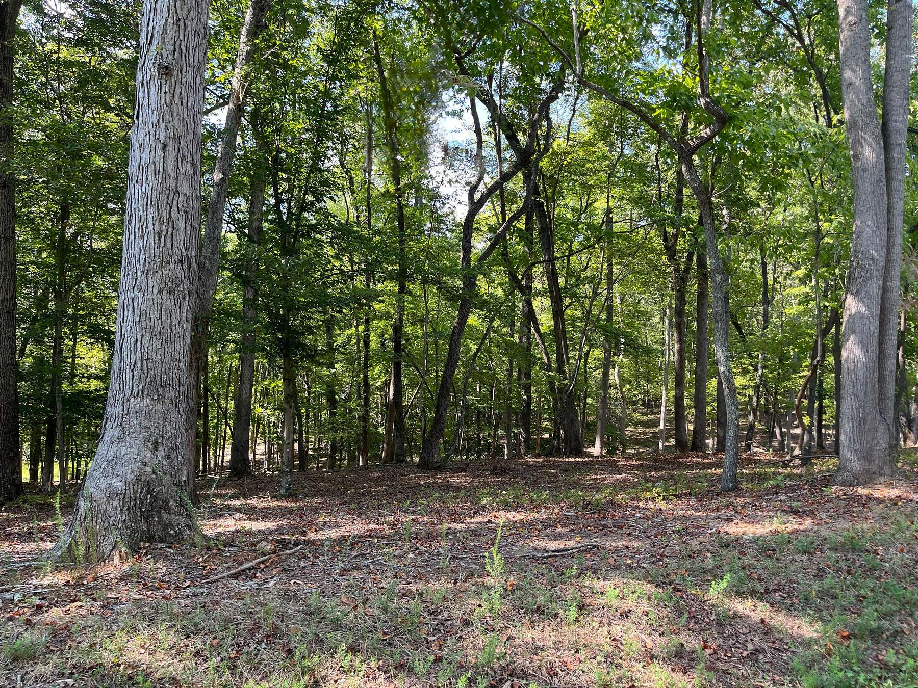 3.5 Acres of Residential Land for Sale in Wirtz, Virginia