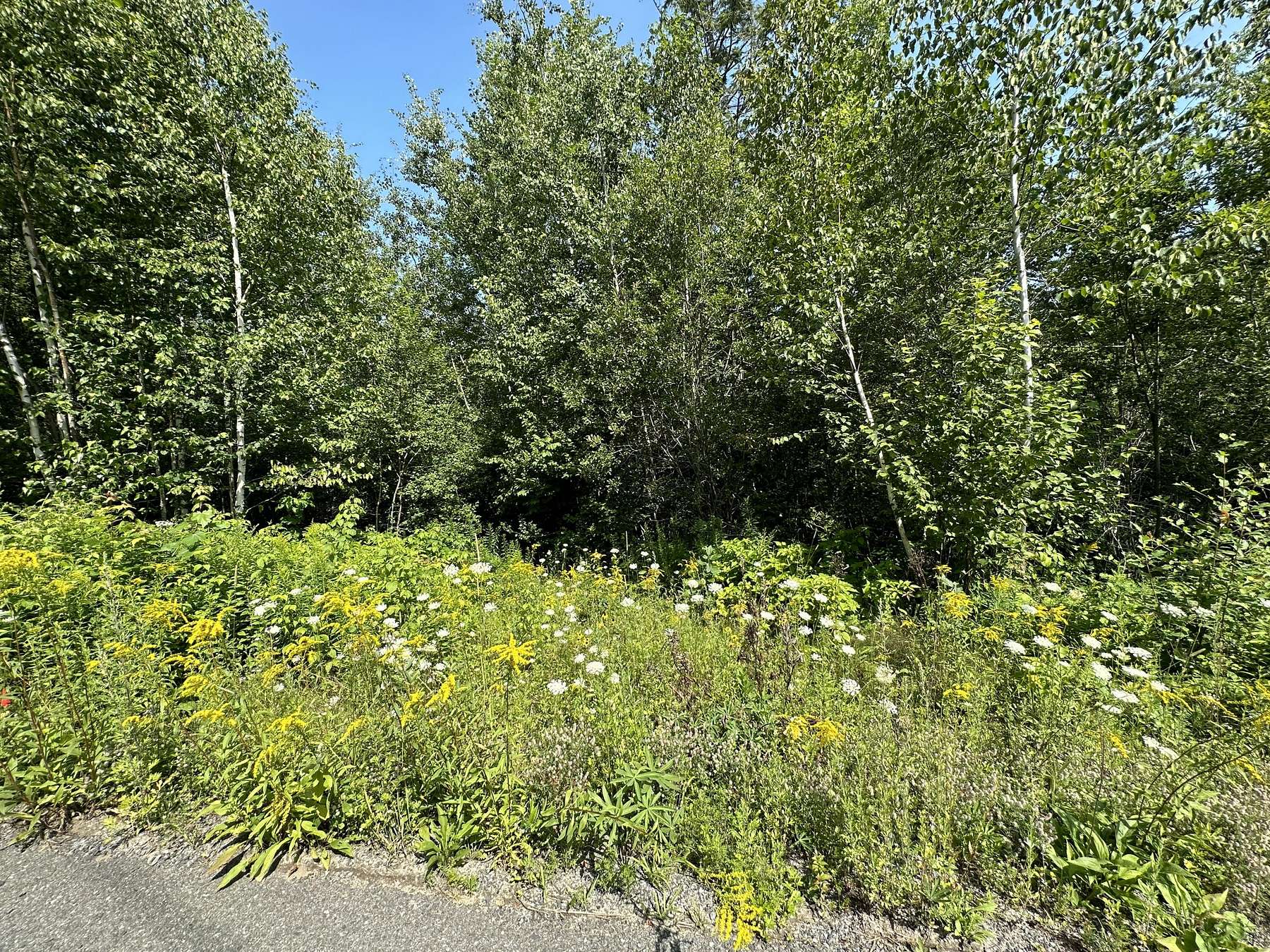 2.1 Acres of Residential Land for Sale in Belfast, Maine
