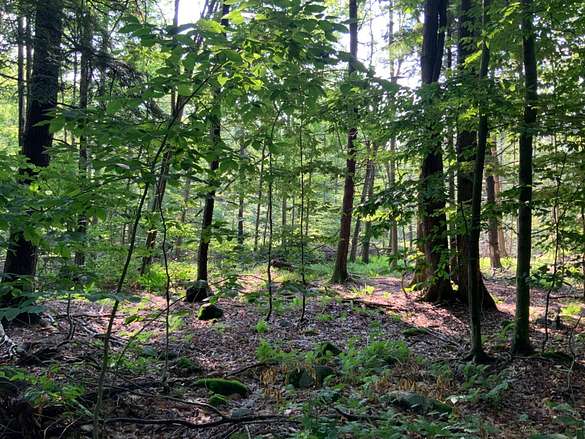 41 Acres of Recreational Land for Sale in Greenfield Center, New York