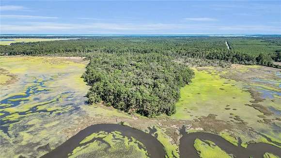 110 Acres of Land for Sale in Shellman Bluff, Georgia