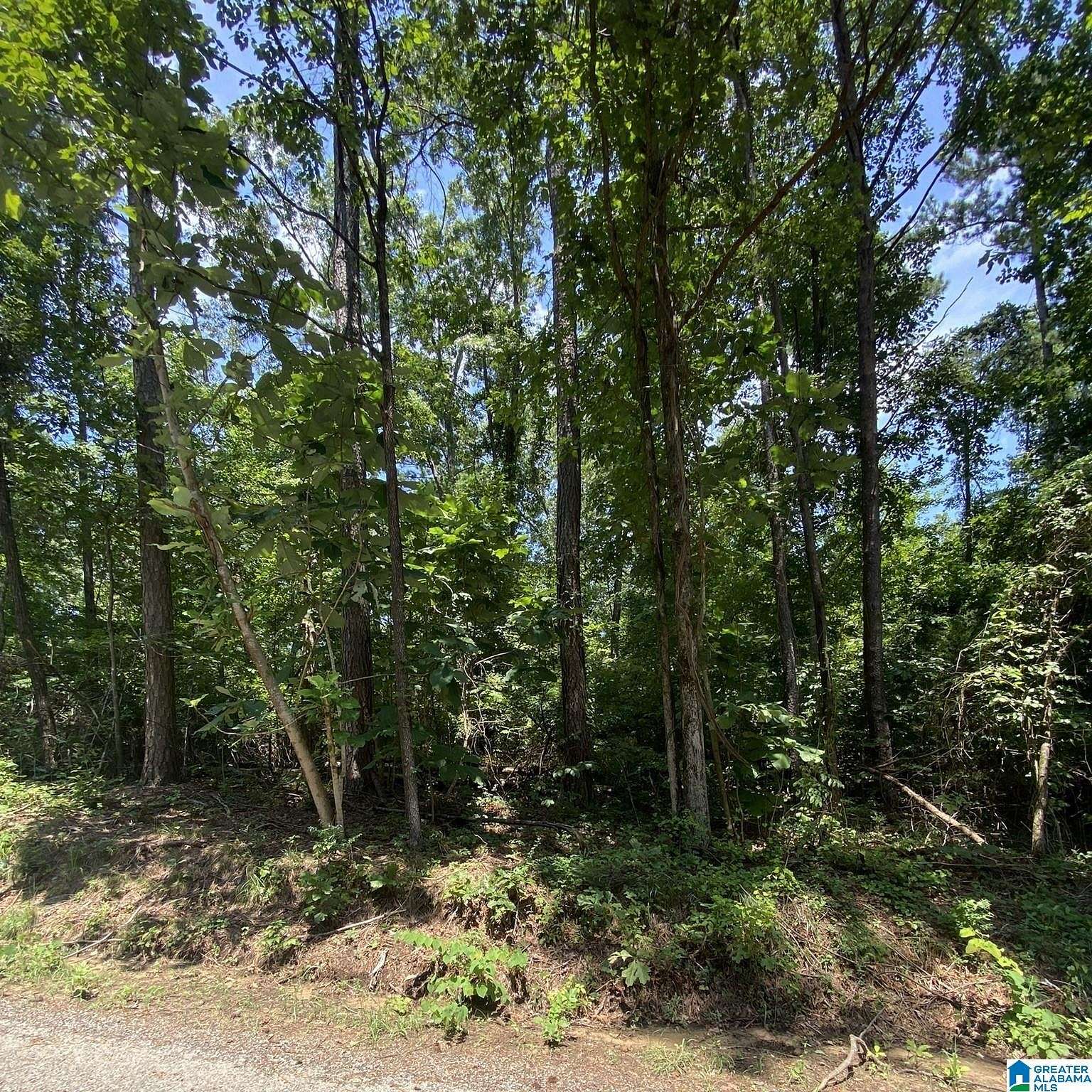 0.8 Acres of Land for Sale in Crane Hill, Alabama