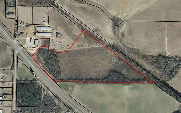 30.7 Acres of Land for Sale in Sasser, Georgia