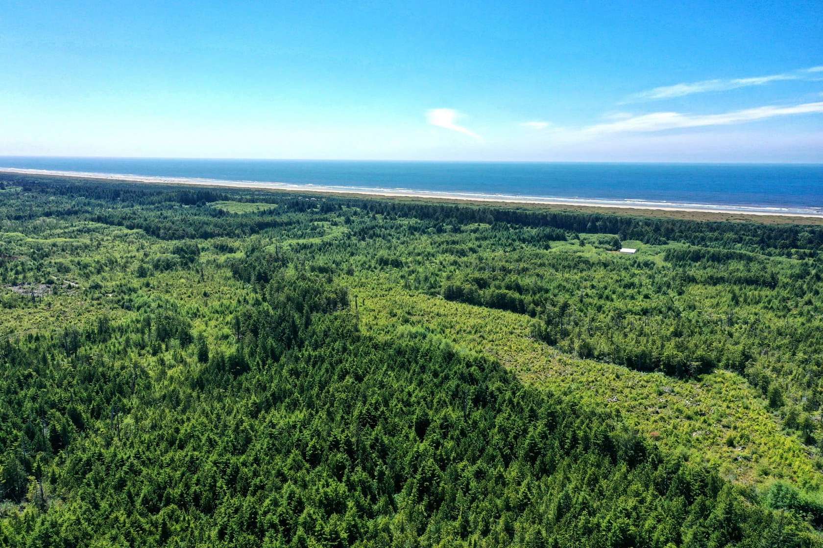 138 Acres of Recreational Land & Farm for Sale in Copalis Beach, Washington