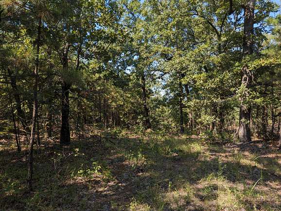 5 Acres of Residential Land for Sale in Yanush, Oklahoma