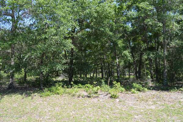 0.44 Acres of Residential Land for Sale in Supply, North Carolina