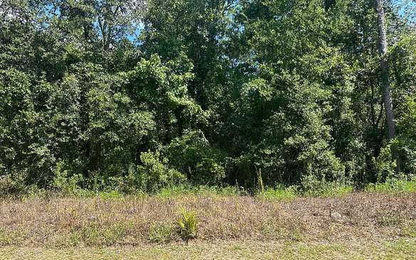 0.75 Acres of Residential Land for Sale in Lee, Florida