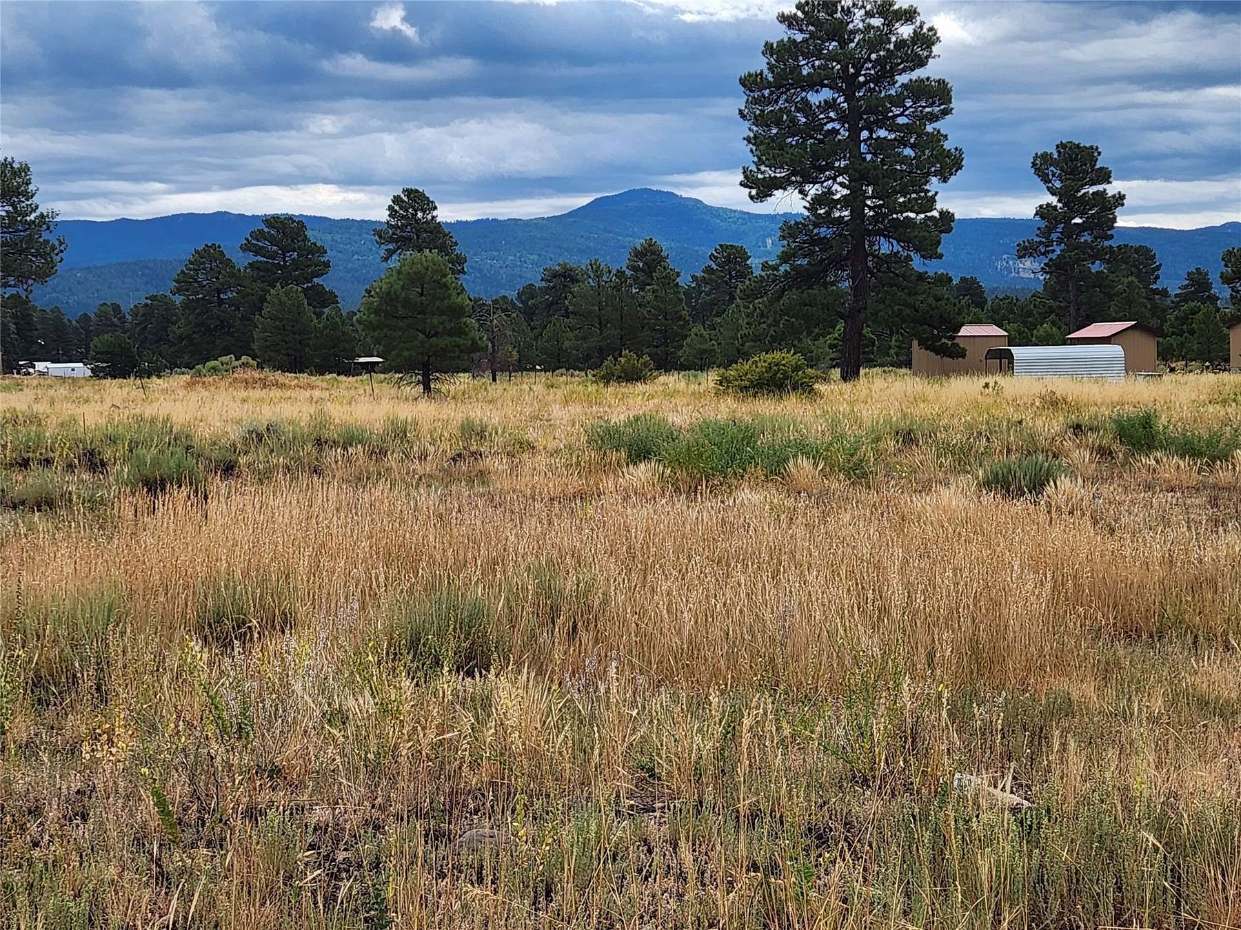 1 Acre of Residential Land for Sale in Chama, New Mexico