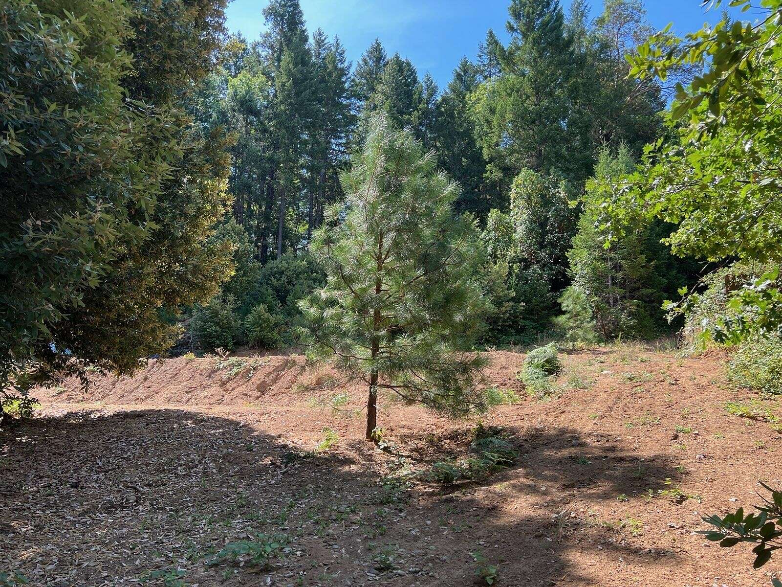 0.47 Acres of Residential Land for Sale in Cave Junction, Oregon