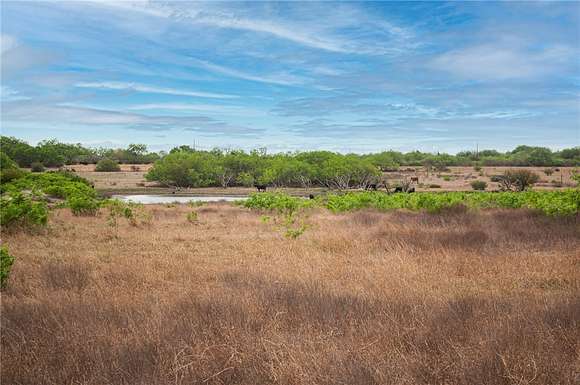 11.65 Acres of Land for Sale in Orange Grove, Texas