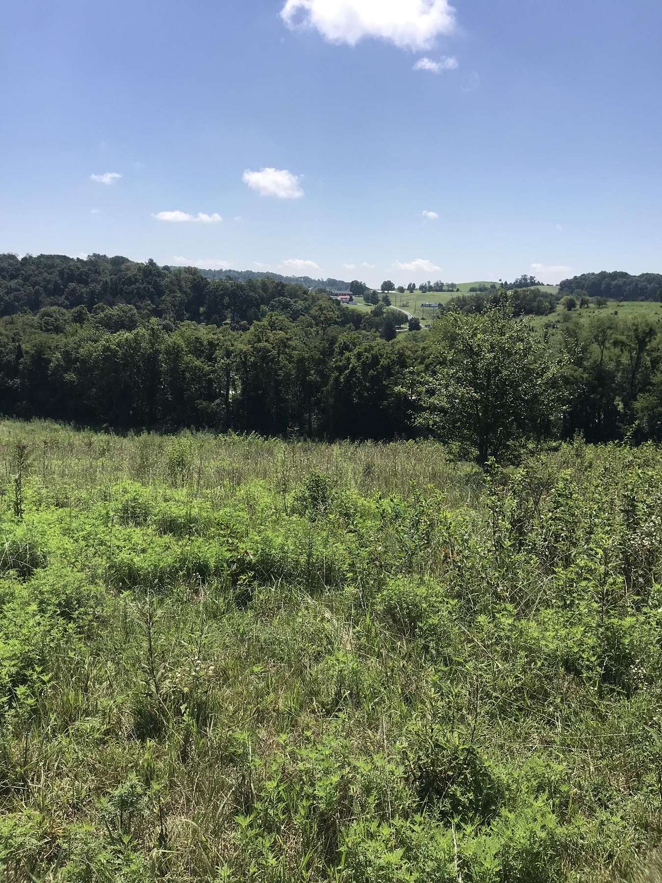 30.3 Acres of Land for Sale in Russellville, Tennessee