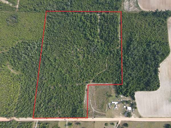 23.3 Acres of Recreational Land for Sale in Marianna, Florida