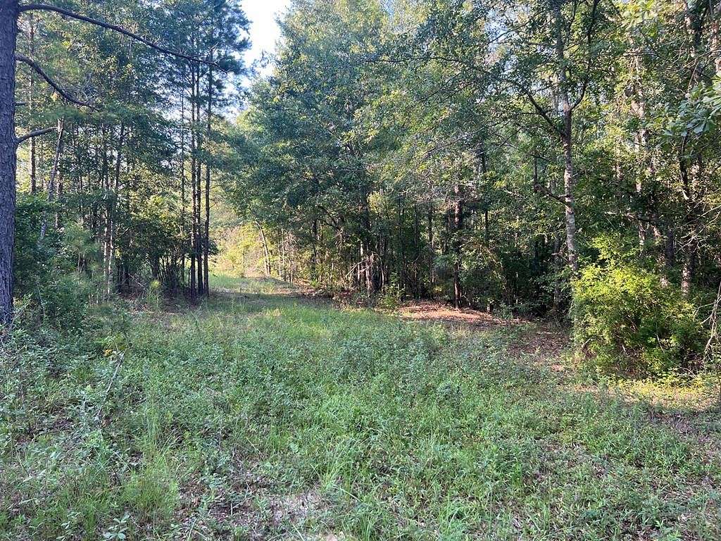 73 Acres of Land for Sale in Clayton, Alabama