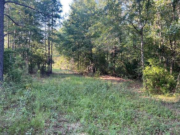 73 Acres of Land for Sale in Clayton, Alabama