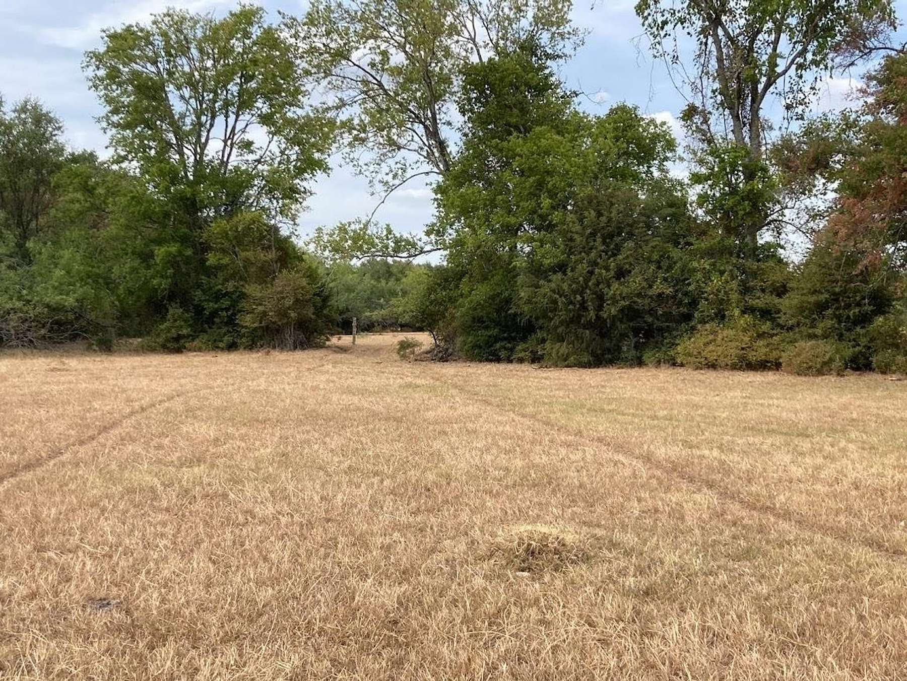 42 Acres of Recreational Land & Farm for Sale in Kosse, Texas