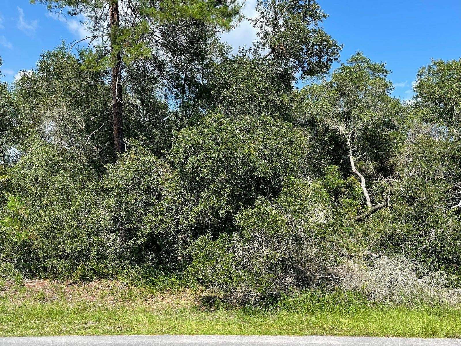 0.38 Acres of Land for Sale in Ocala, Florida