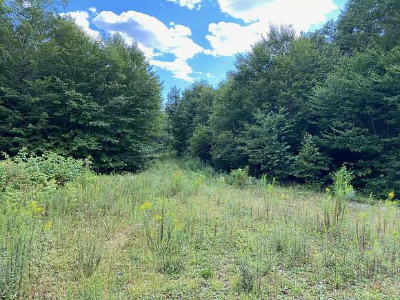 1.6 Acres of Residential Land for Sale in Cathance Township, Maine