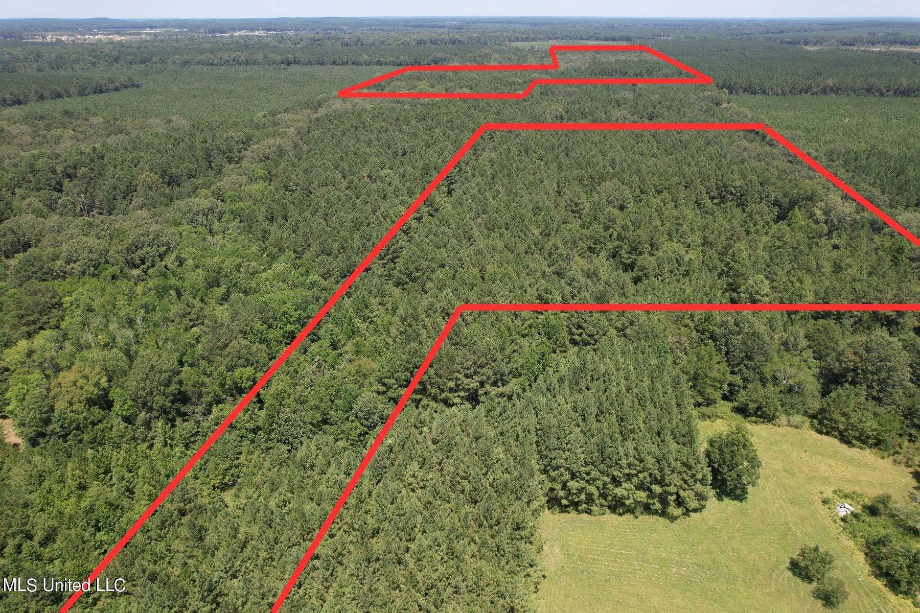 74.4 Acres of Recreational Land for Sale in Pelahatchie, Mississippi