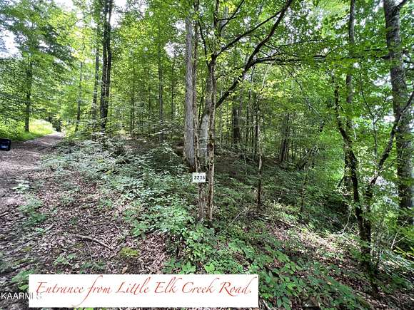 38 Acres of Land for Sale in Pioneer, Tennessee