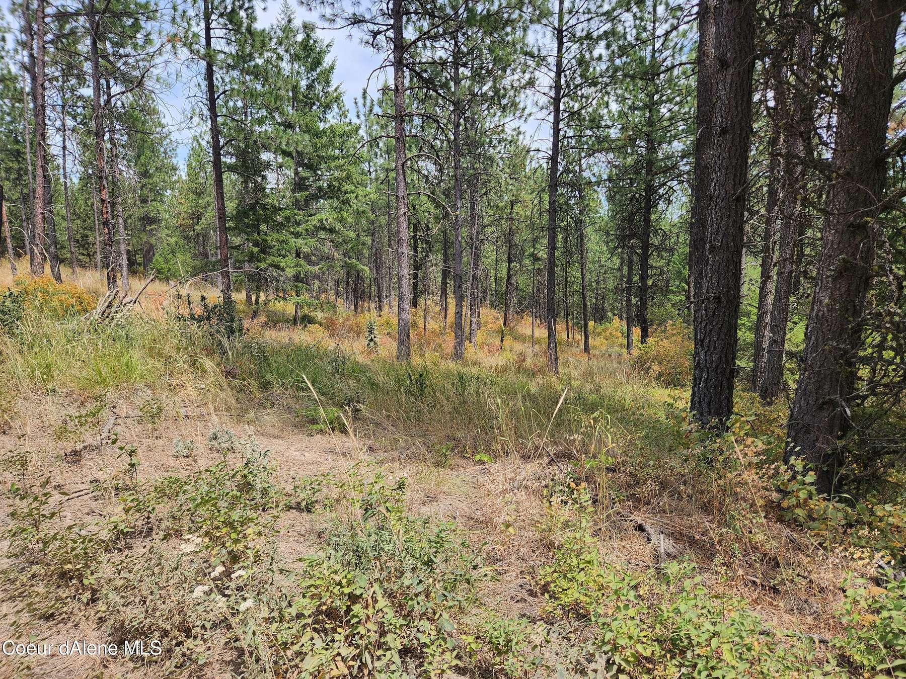 5 Acres of Land for Sale in De Smet, Idaho