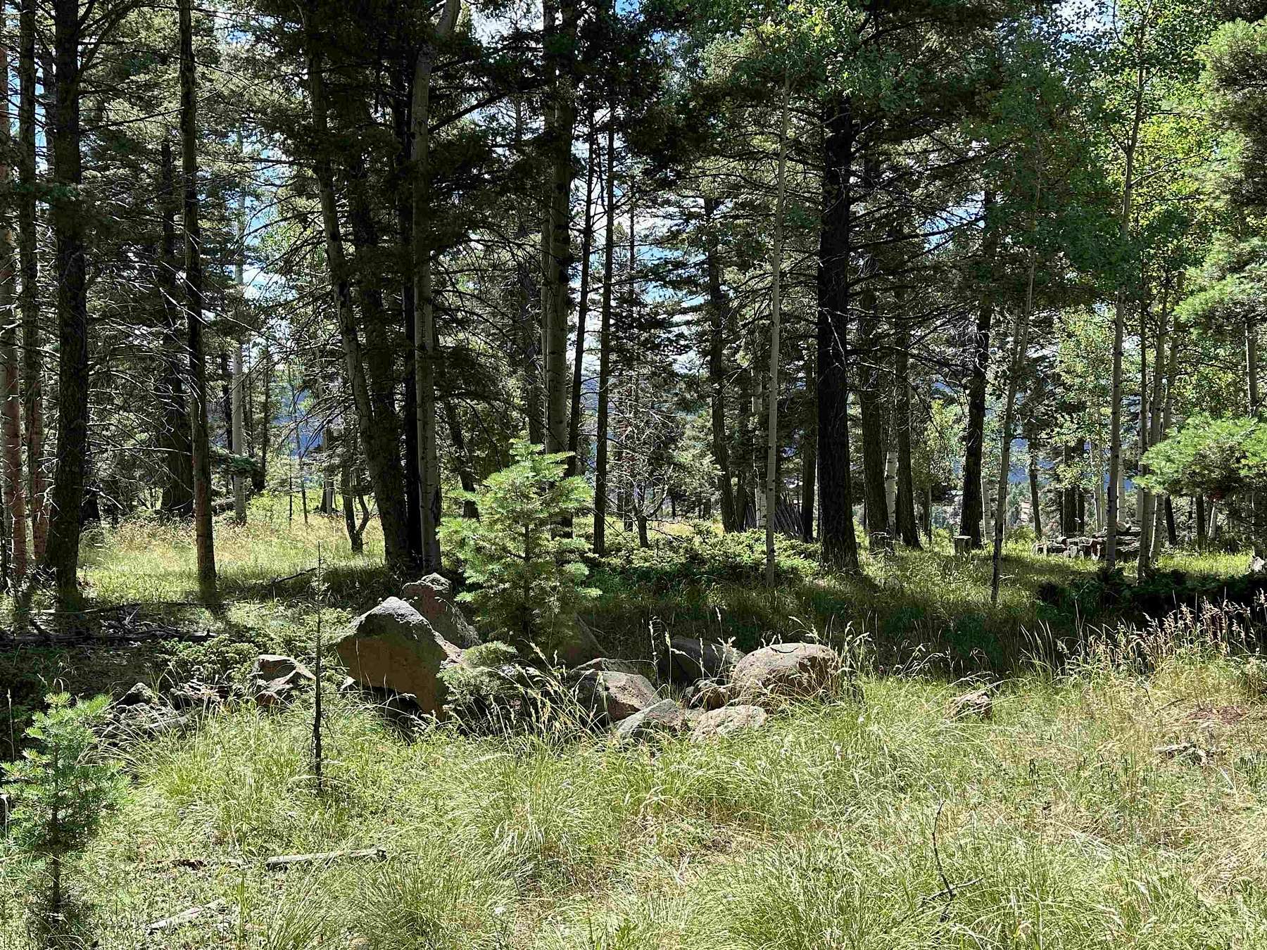 0.78 Acres of Residential Land for Sale in Angel Fire, New Mexico