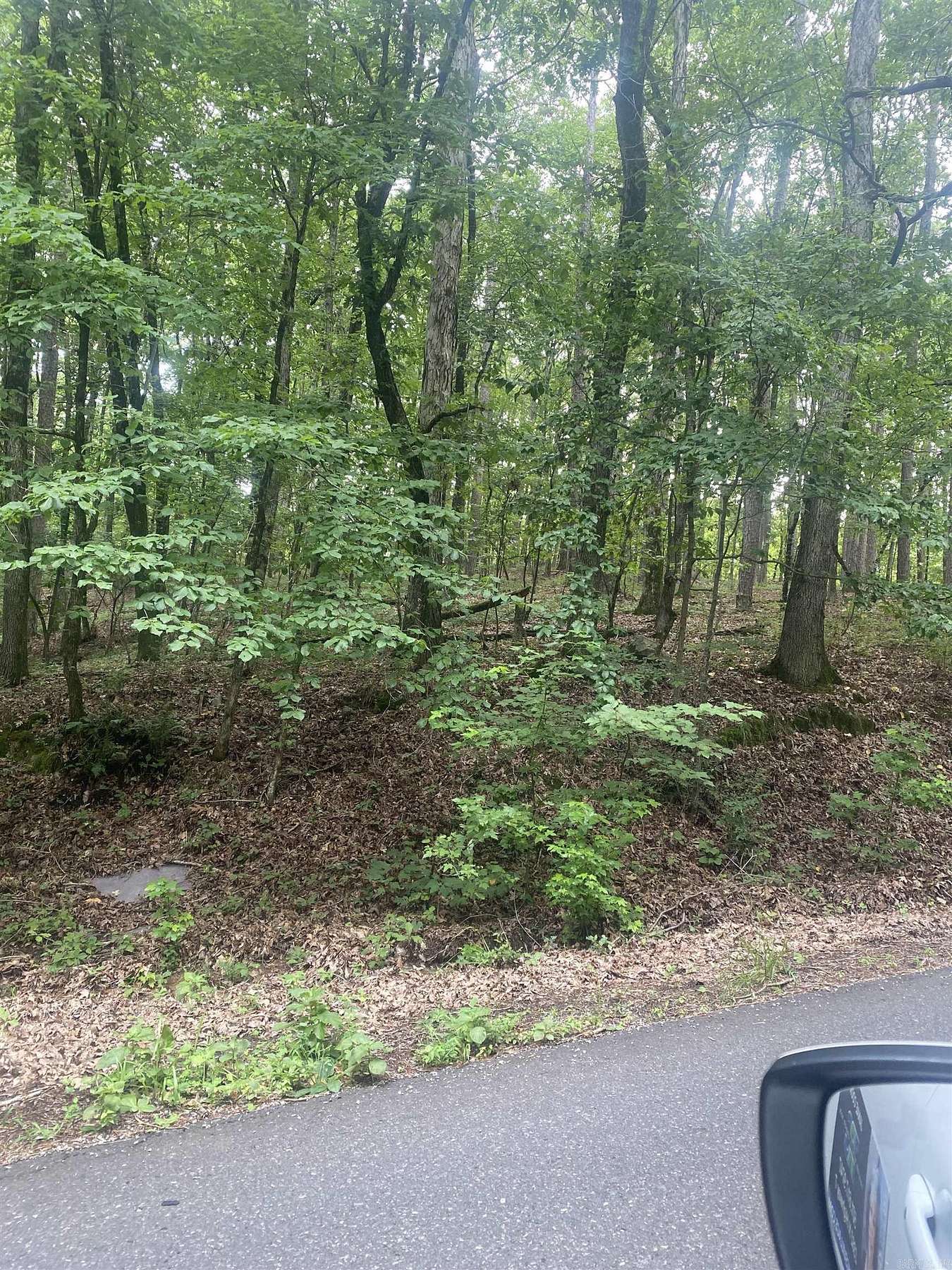 0.99 Acres of Residential Land for Sale in Hot Springs Village, Arkansas