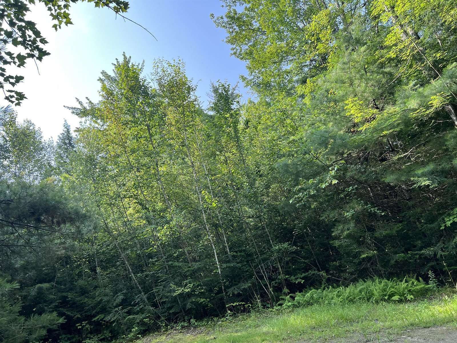 4.4 Acres of Land for Sale in Bradford, Maine