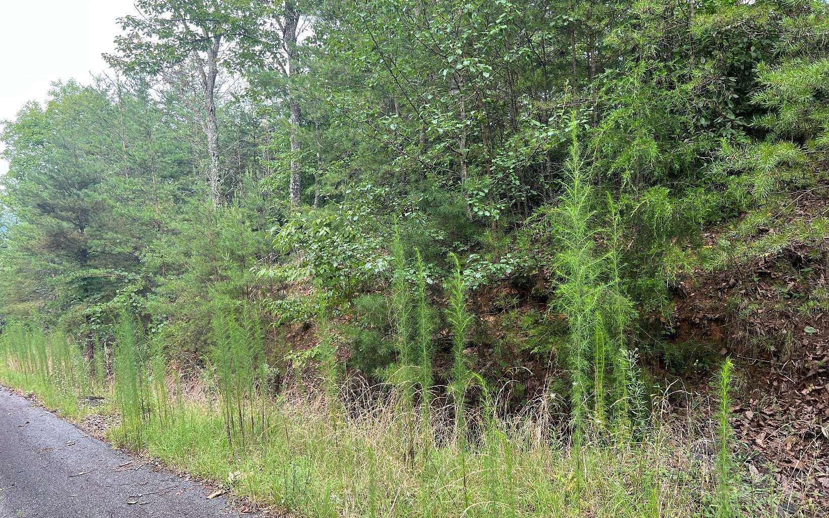 2 Acres of Residential Land for Sale in Brasstown, North Carolina