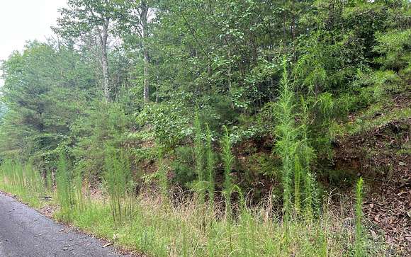 2 Acres of Residential Land for Sale in Brasstown, North Carolina