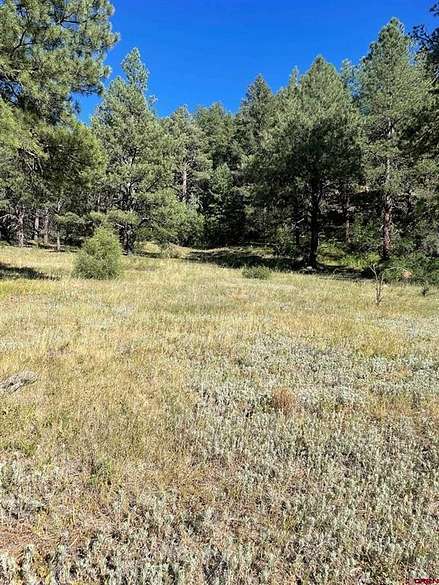 5 Acres of Residential Land for Sale in Pagosa Springs, Colorado