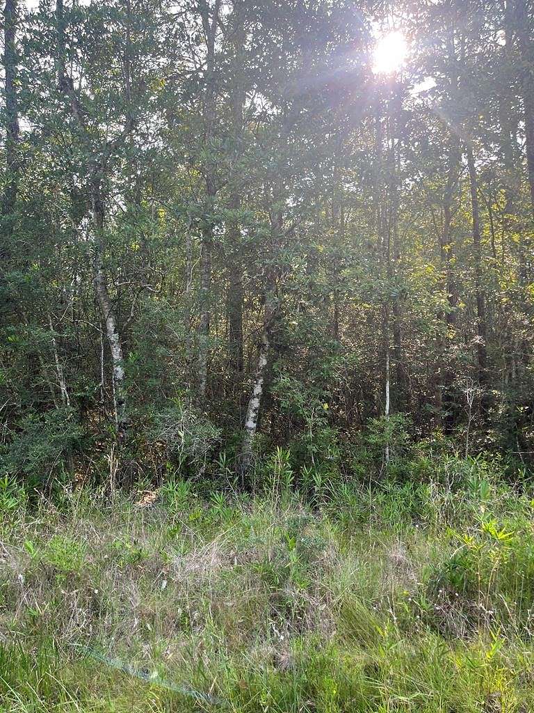4.3 Acres of Residential Land for Sale in Poplarville, Mississippi