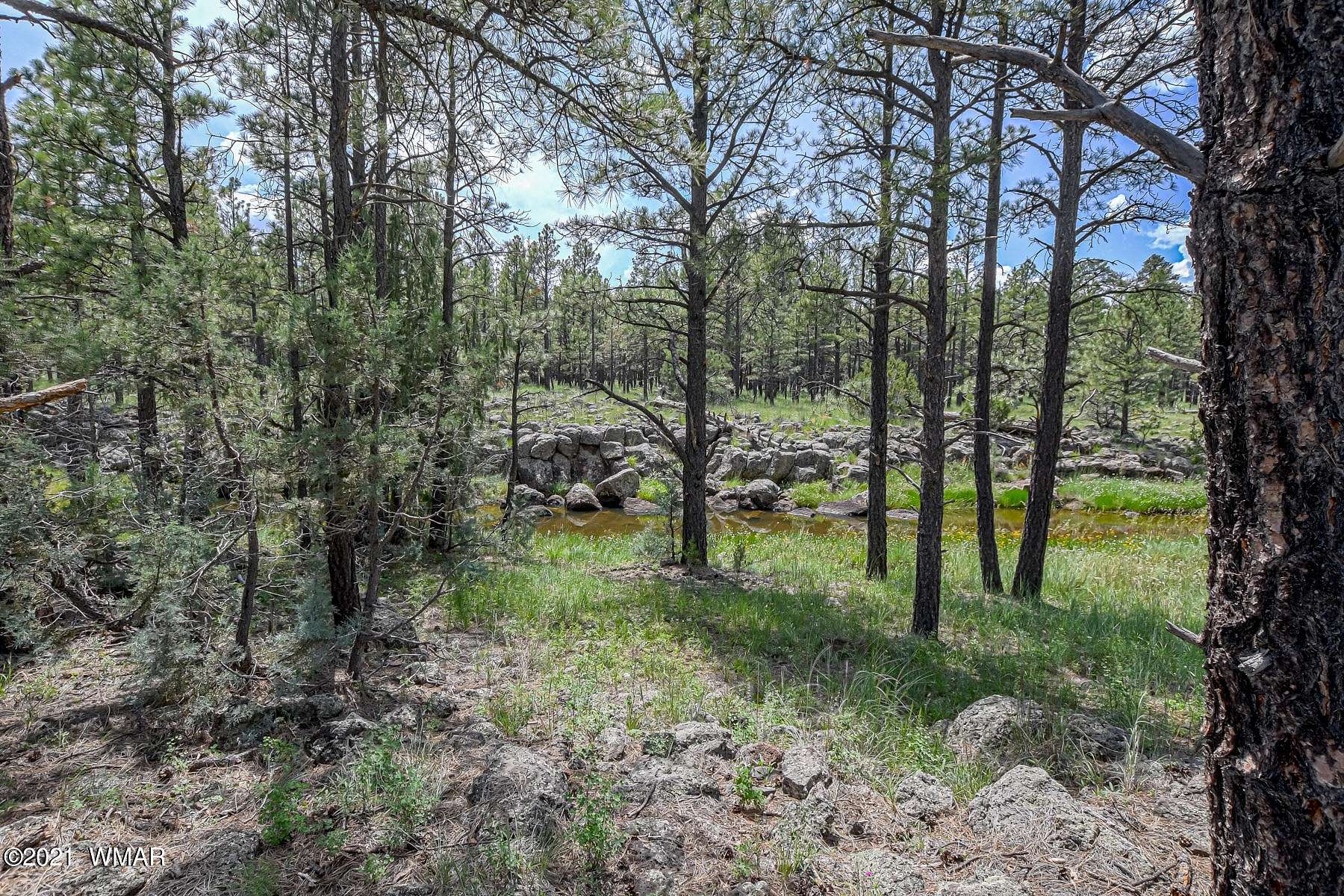 13.3 Acres of Land for Sale in Lakeside, Arizona