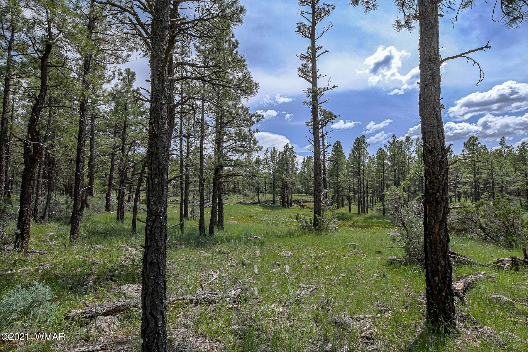 13.33 Acres of Recreational Land for Sale in Lakeside, Arizona