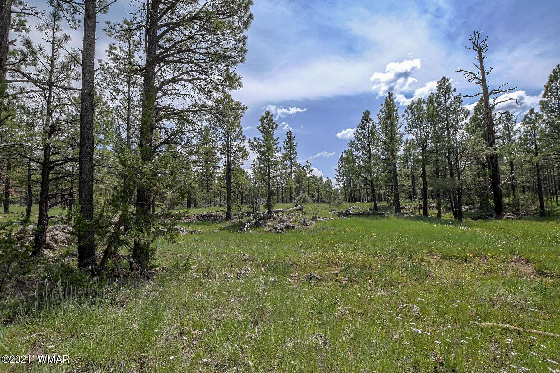 13.33 Acres of Recreational Land for Sale in Lakeside, Arizona