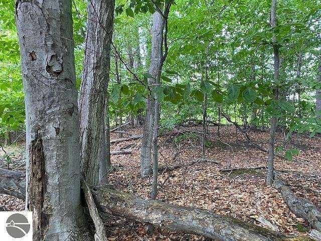 0.75 Acres of Land for Sale in Kewadin, Michigan