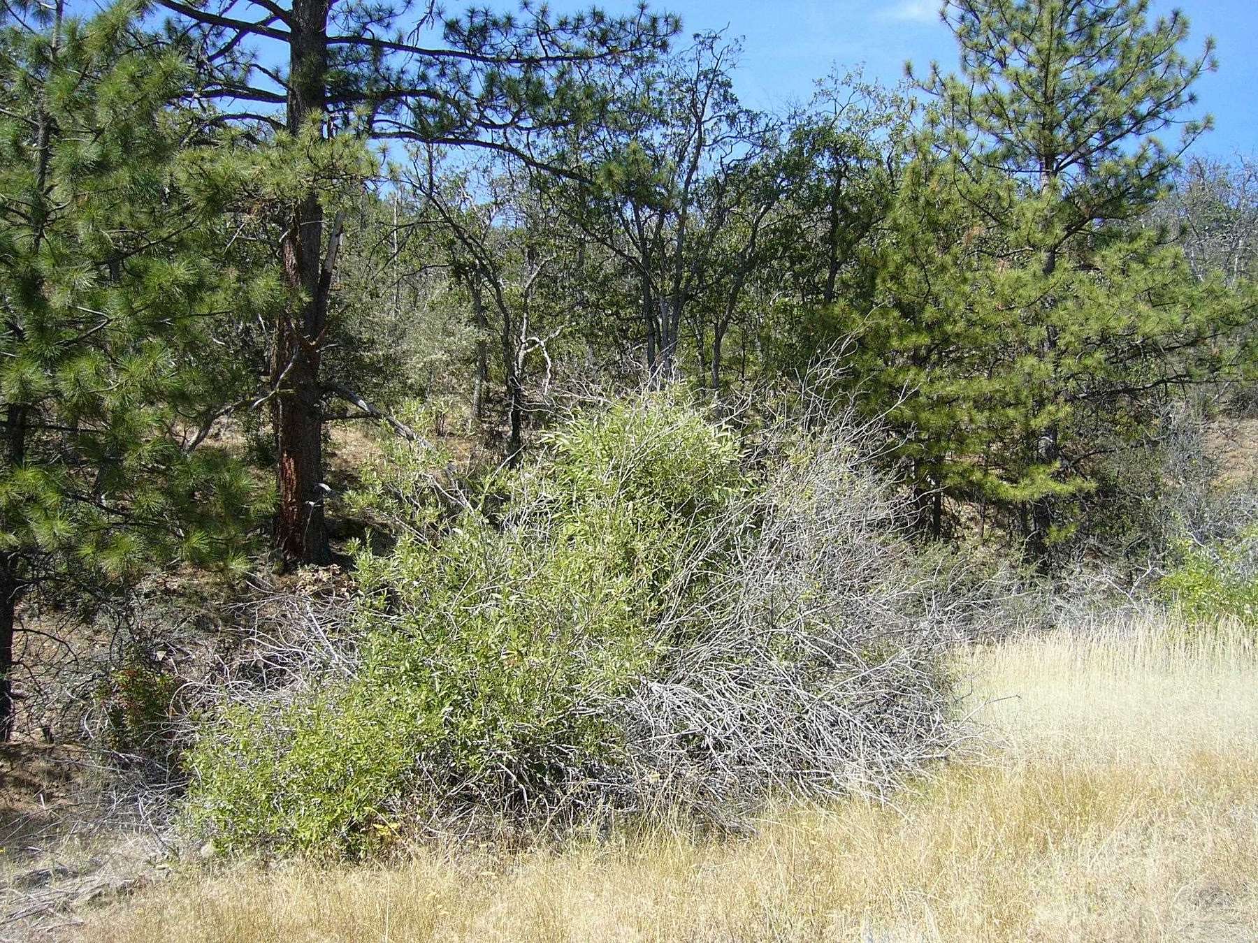 9.1 Acres of Land for Sale in Yreka, California