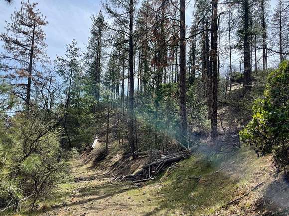 40 Acres of Recreational Land for Sale in Yreka, California - LandSearch