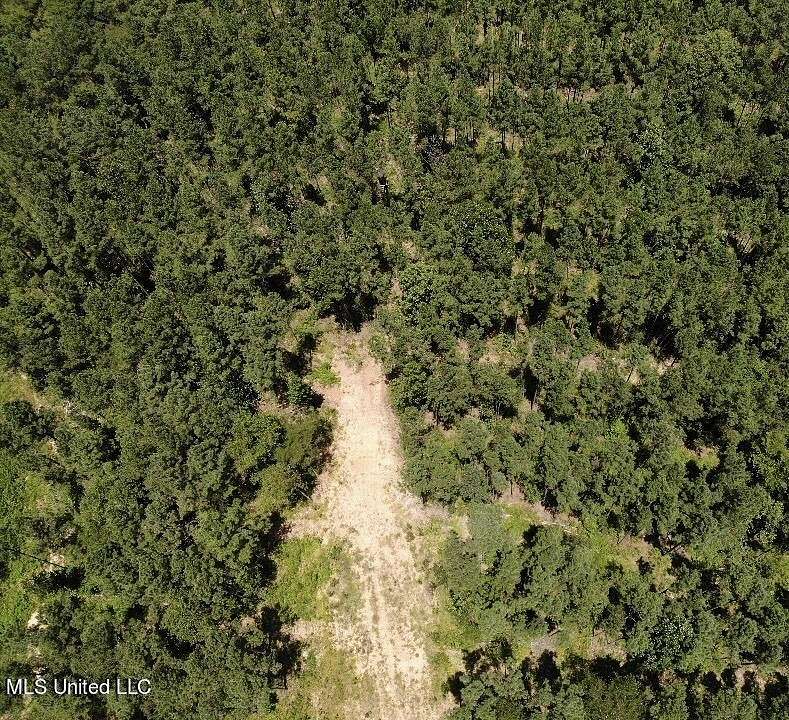 10 Acres of Residential Land for Sale in Pelahatchie, Mississippi