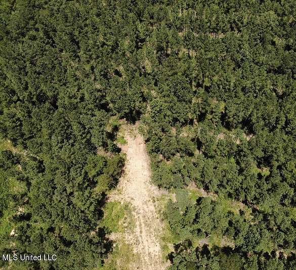 10 Acres of Residential Land for Sale in Pelahatchie, Mississippi