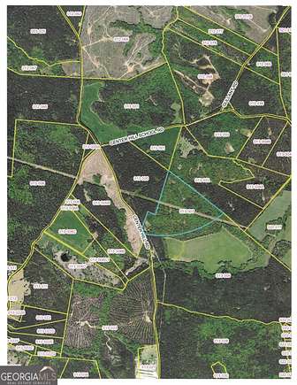 77 Acres of Recreational Land for Sale in Crawfordville, Georgia