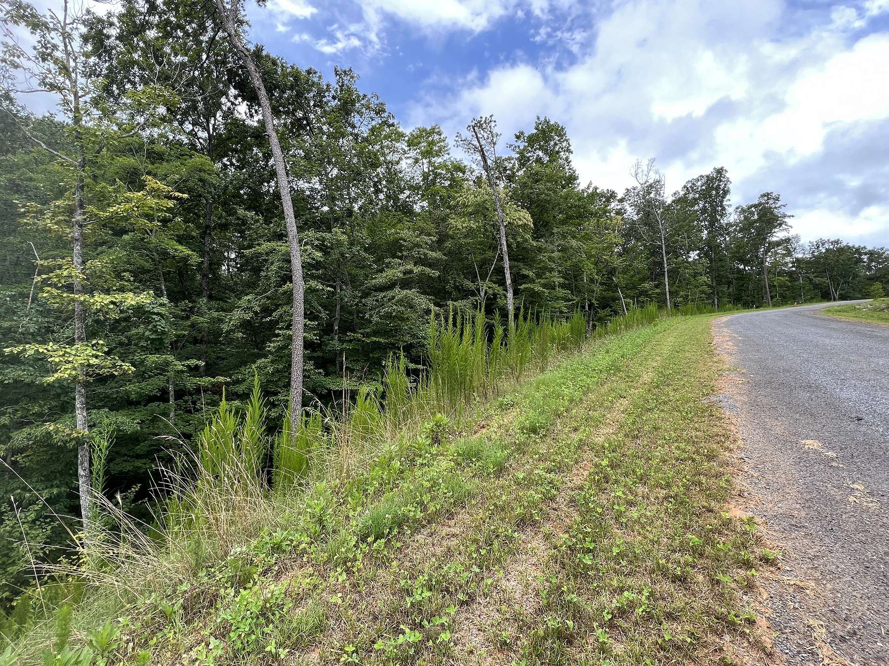 1.3 Acres of Residential Land for Sale in Ellijay, Georgia