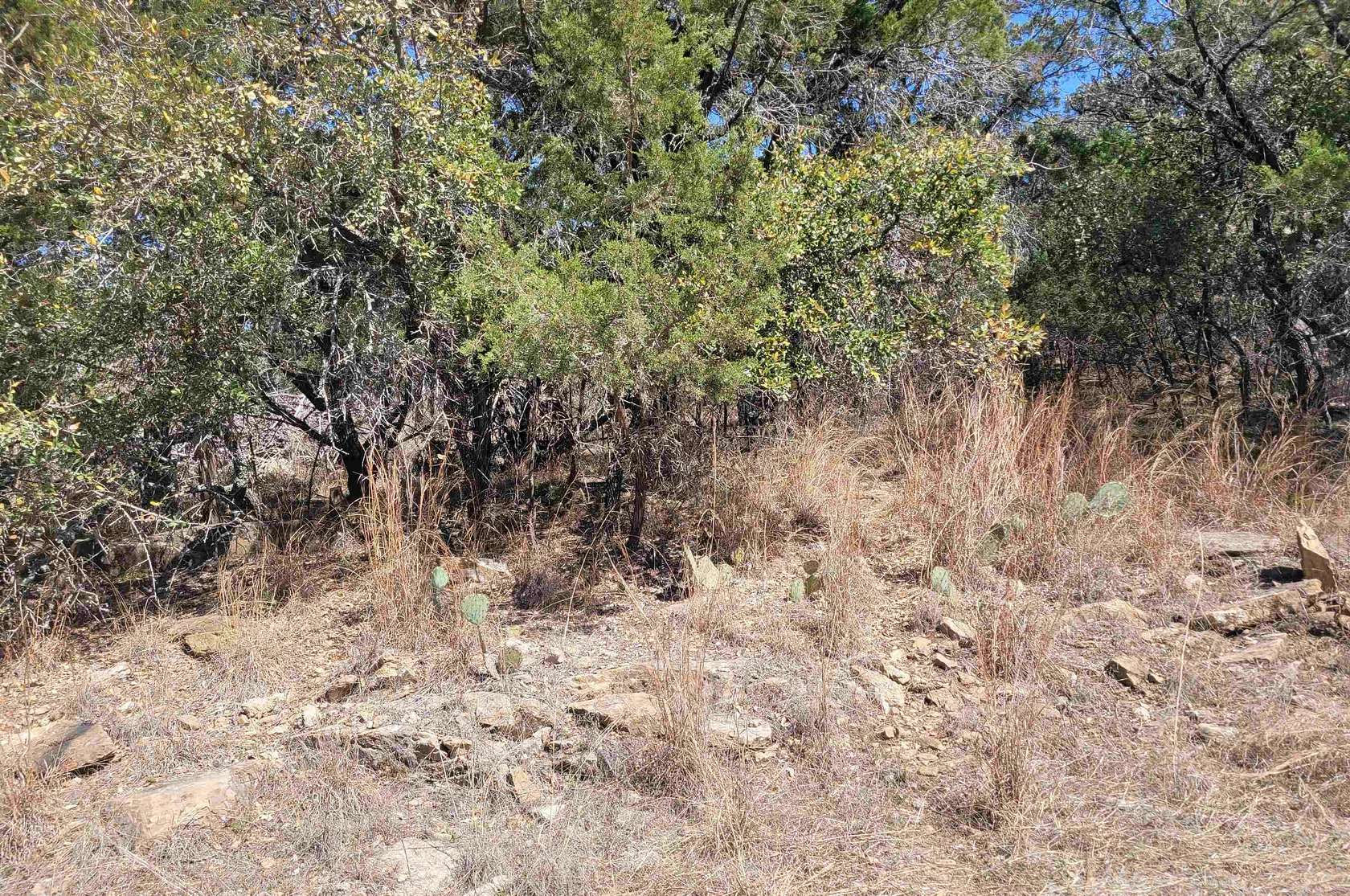 0.24 Acres of Land for Sale in Burnet, Texas